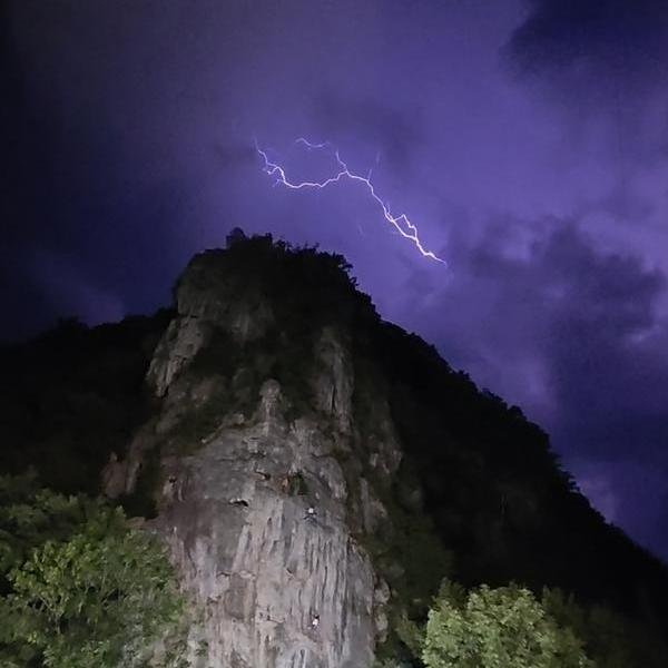 Travata By Night 2026